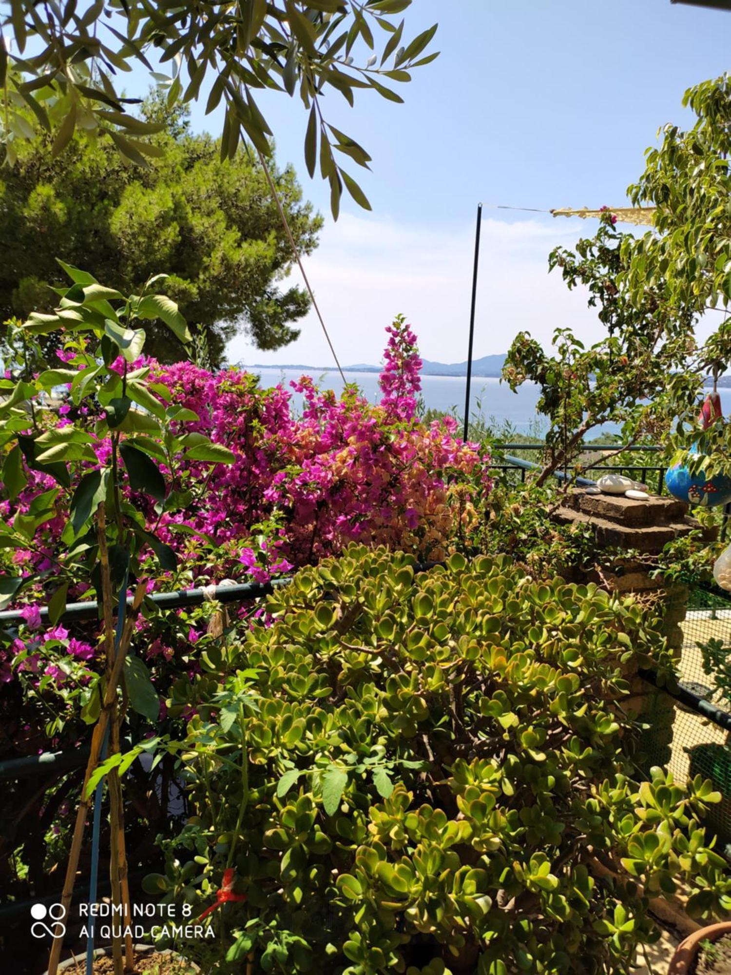 Butterfly Barbati Apartments 部屋 写真
